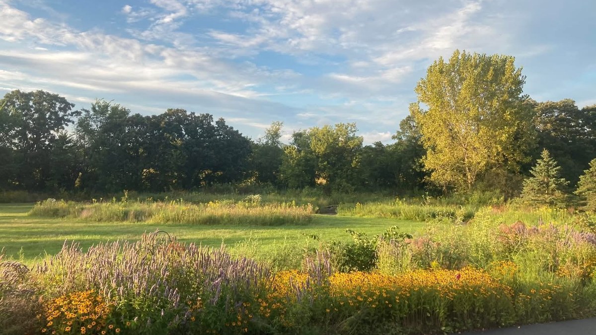 Eubanks Environmental Puts Down Roots In New Grayslake Office