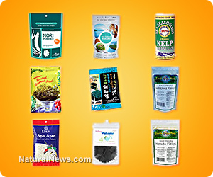 Heavy metals test results for seaweeds and sea vegetables published by Natural News Labs