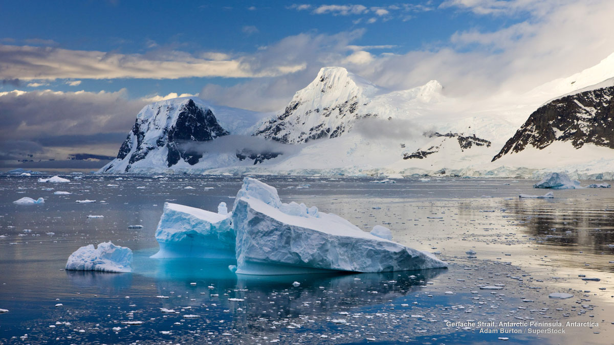 Photo-sharing pioneer Webshots To Support Wildlife And Environmental Conservation