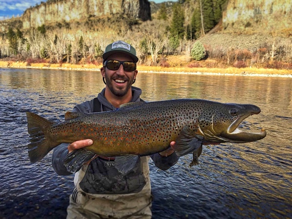 Teton Valley Lodge Awarded 2015 TripAdvisor Certificate of Excellence