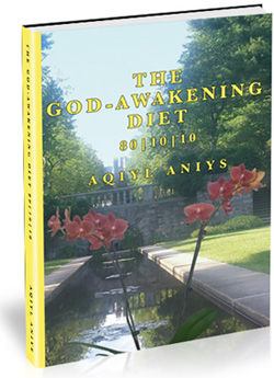Natural Life Energy LLC Releases the Holistic Health Book, The God-Awakening Diet