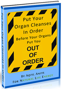 Natural Life Energy LLC's Gives Away the E-book Put Your Organ Cleanses in Order