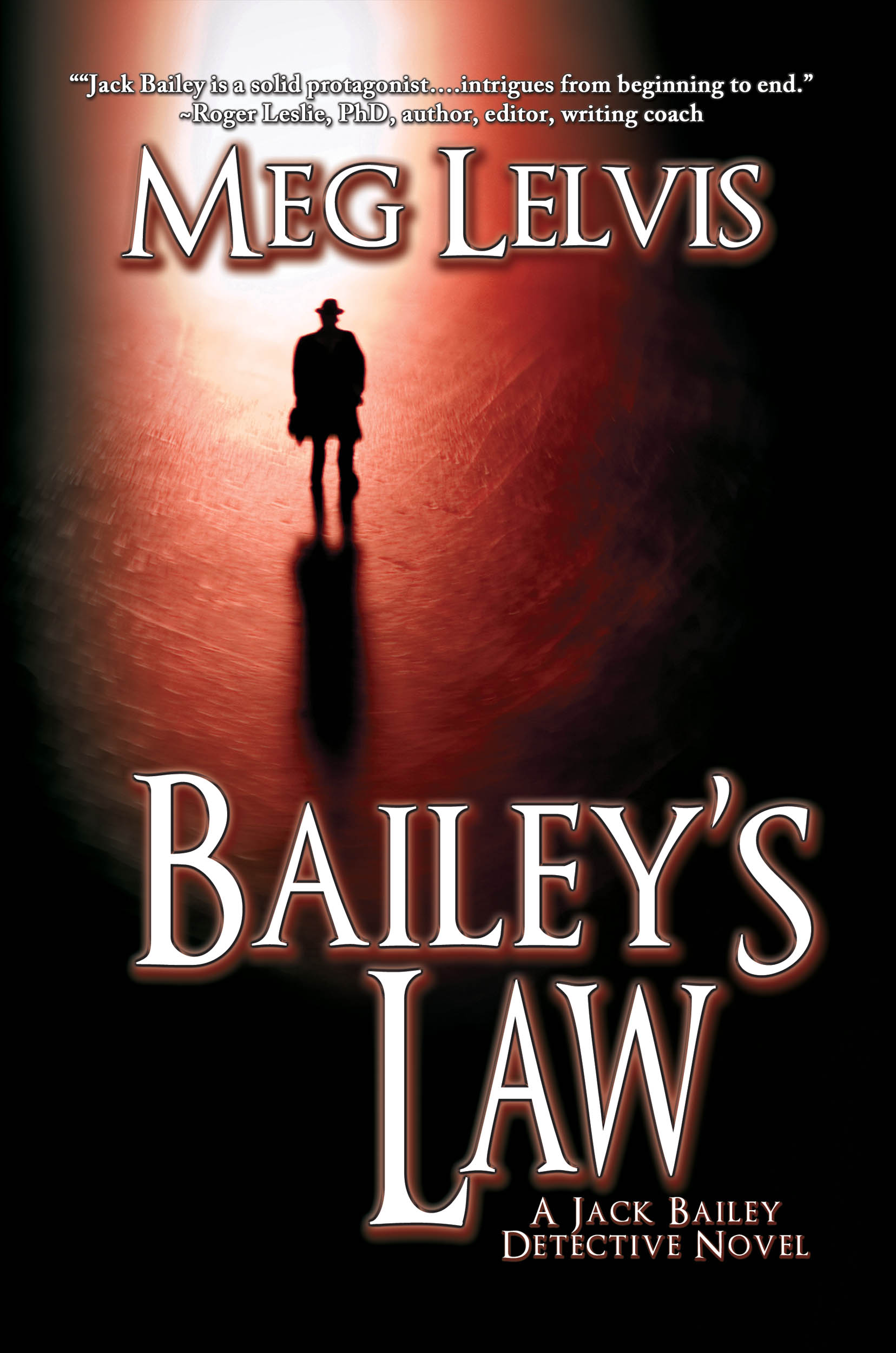 Bailey’s Law, A Jack Bailey Detective Mystery, Tackles Tough Issues: PTSD and Campus Assault
