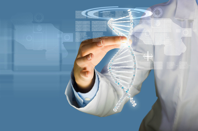 Sport Nutrition by Ideal Pharma Peptide GmbH. What to Choose?