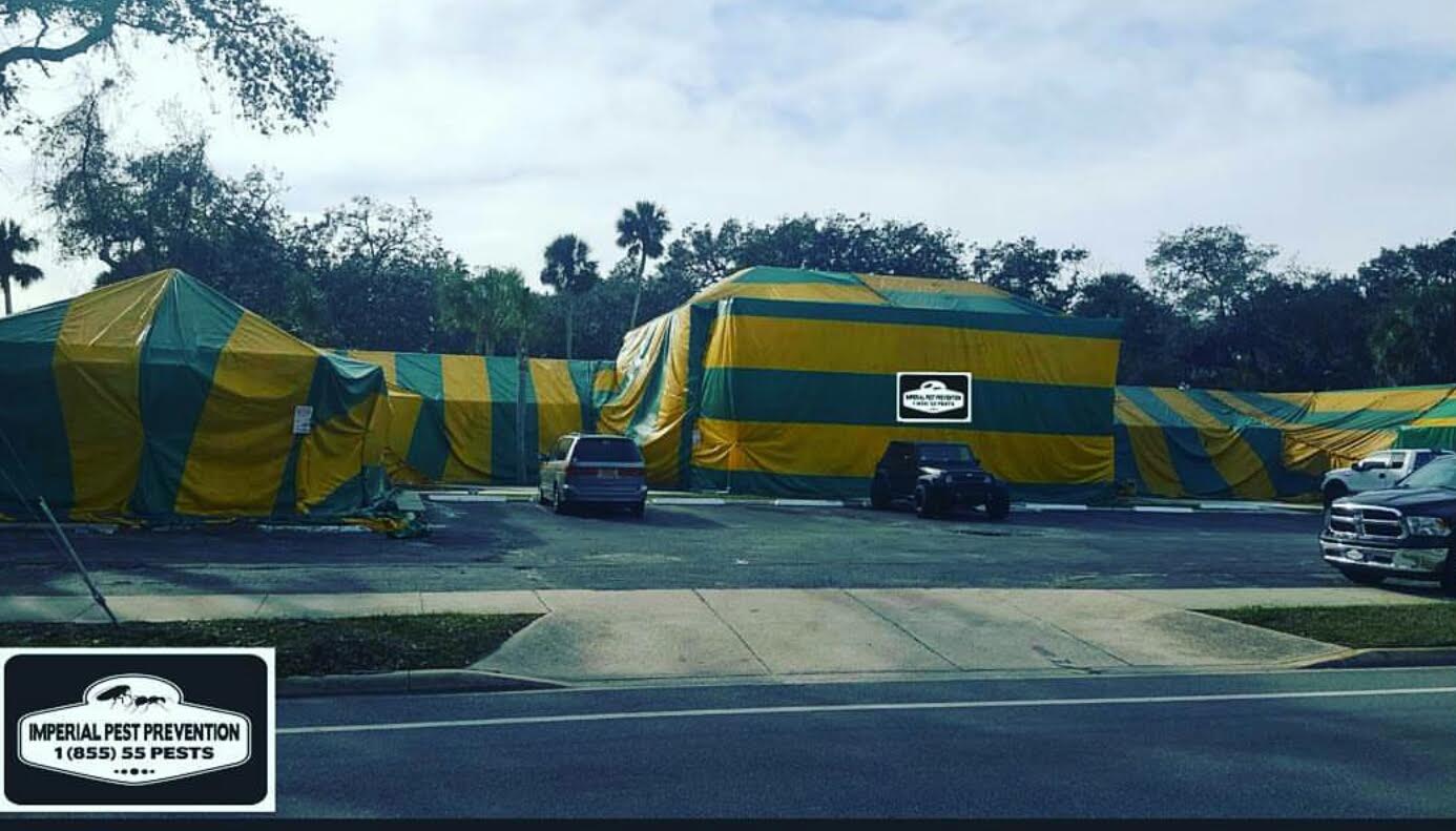 Imperial Pest Prevention of Daytona Beach completes an astounding 7500 WDO real estate inspections