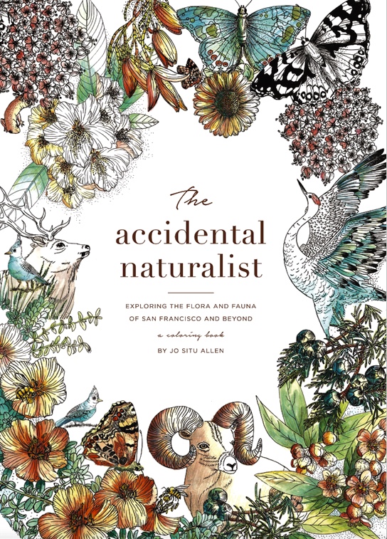 Sustainability Expert Jo Situ Allen Will Launch New Book at Creating Equilibrium Conference