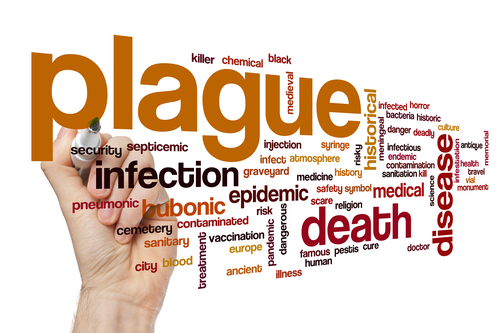 Plague coming back? Or did it never Leave? Let Imperial Pest Prevention break it down for you