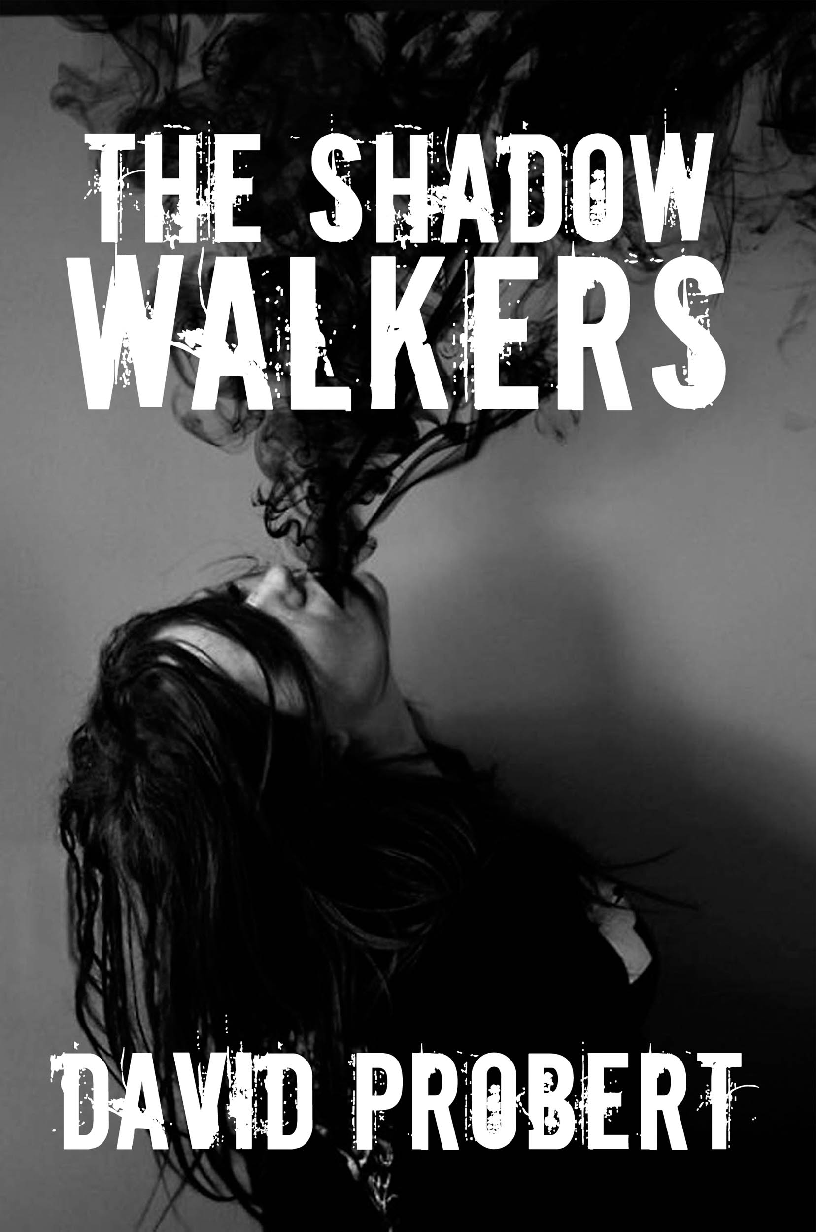 The Shadow Walkers by David Probert: New Release Horror Novel