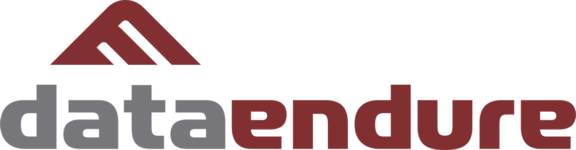 DataEndure logo