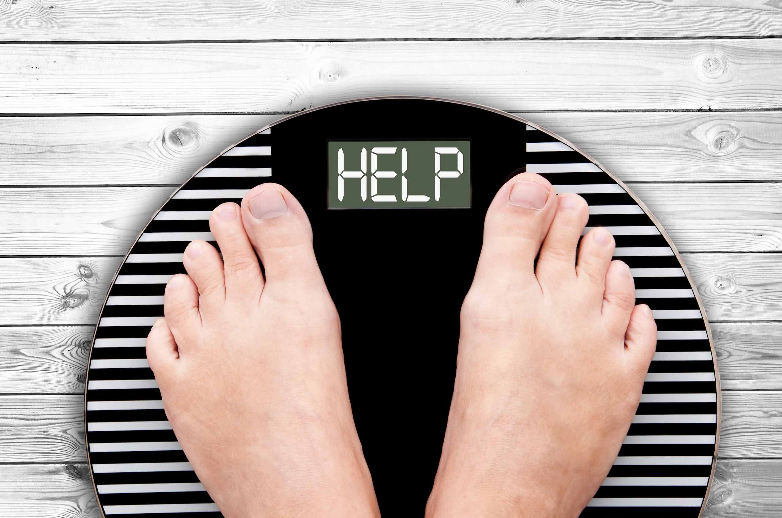 Want to Lose Weight Quickly? PSMF Diet Site Launched to Help