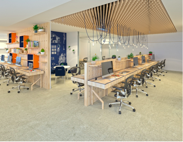 The Mindful Quest for Balance at Tedge Mindful Coworking