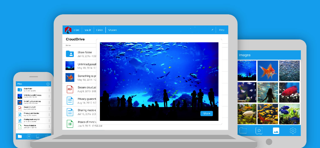pCloudDrive Announces New Lifetime Cloud Storage Service