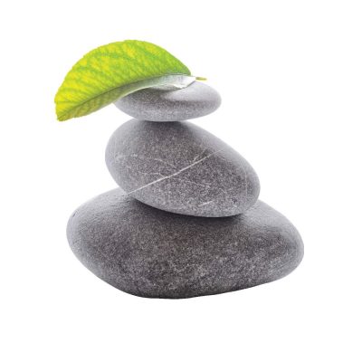 San Diego Reiki logo