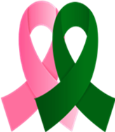 Fibrolamellar Cancer Foundation Helps Lead Liver Cancer Awareness Month