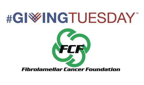 Fibrolamellar Global Summit Determines Research Funding As #GivingTuesday Top Priority