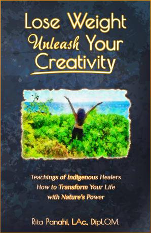 Author Rita Panahi, L.Ac., Dipl.O.M, Unveils Groundbreaking New Book