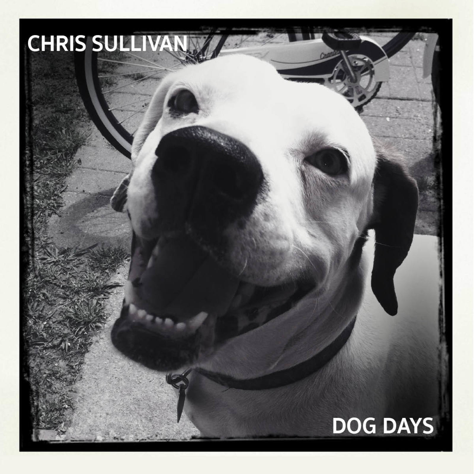 Singer/Songwriter Chris Sullivan Releases New EP "Dog Days" June 1st