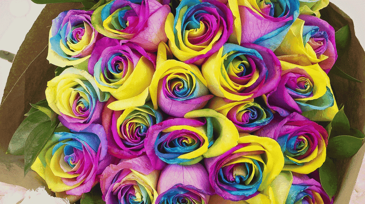 The Ultimate Rose Offers Same Day Delivery Mother’s Day Flowers