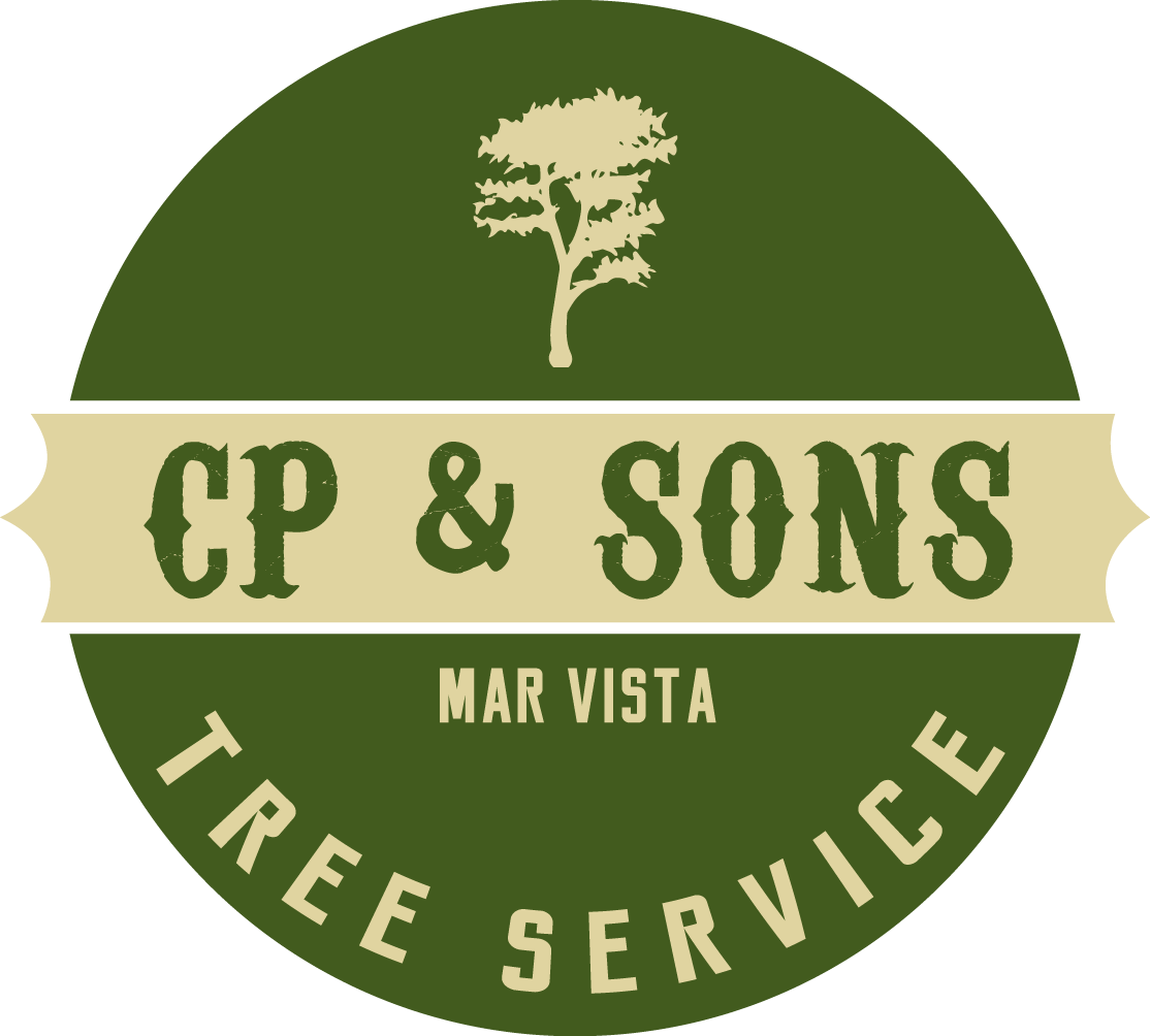 Tree Trimming Beverly Hills Experts, CP & Sons Tree Service, Is Top Leading For Tree Care Services