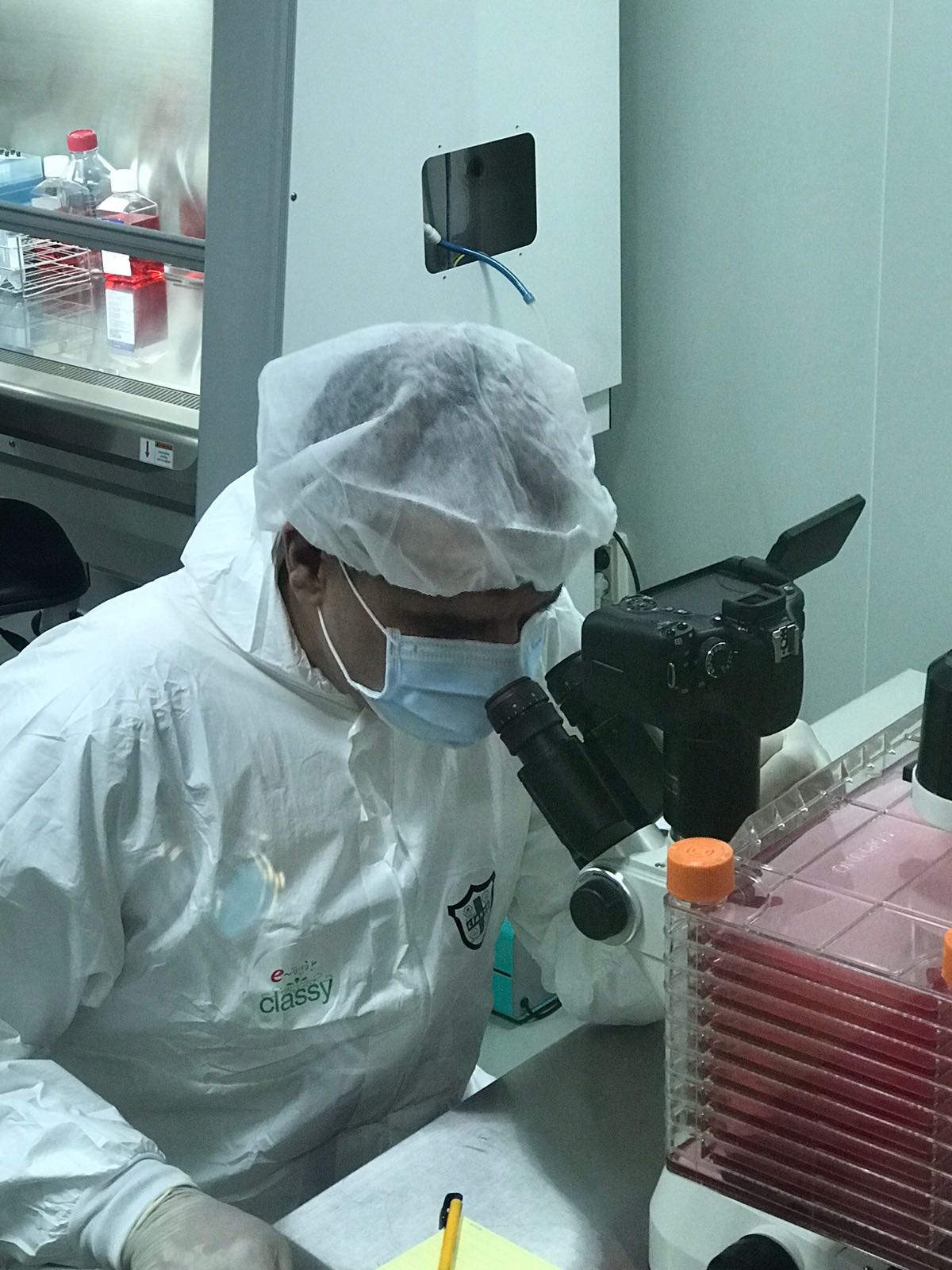 ISSCA announces fellowship in cell therapy and tissue engineering