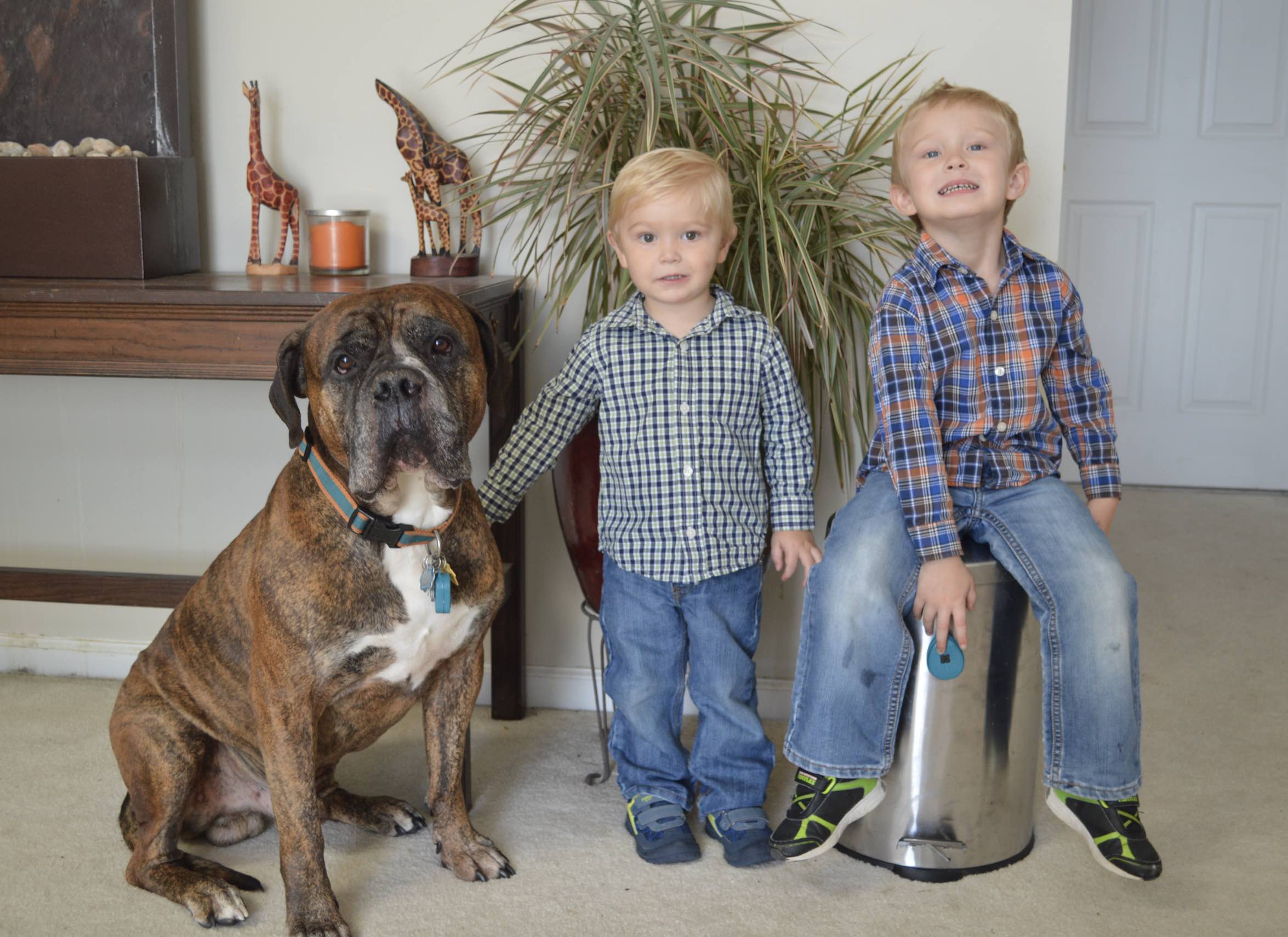 Invented by a 3-Year-Old, the World's First Autonomous Pet Training System The Purrfect Pup™ Comes to Indiegogo