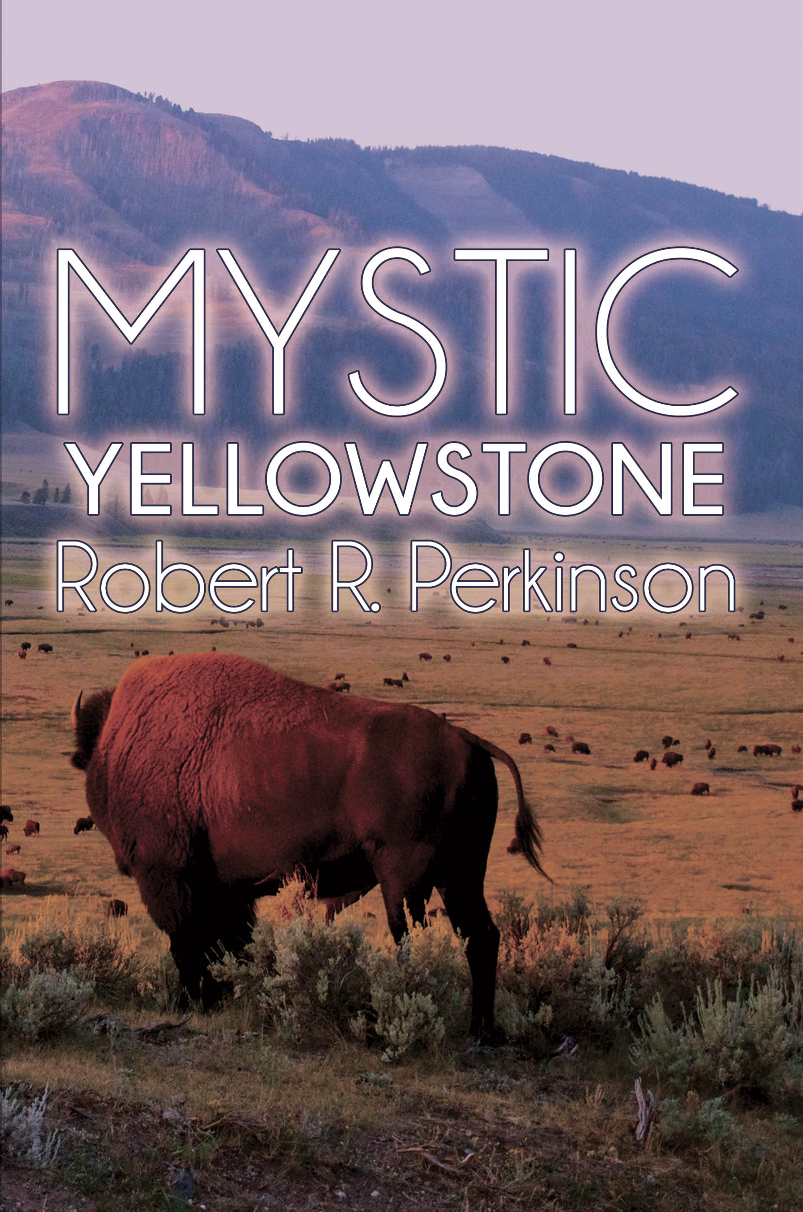 Mystic: Yellowstone is Book 2 in the Mystic Suspense Thriller Series From Dr. Robert R. Perkinson