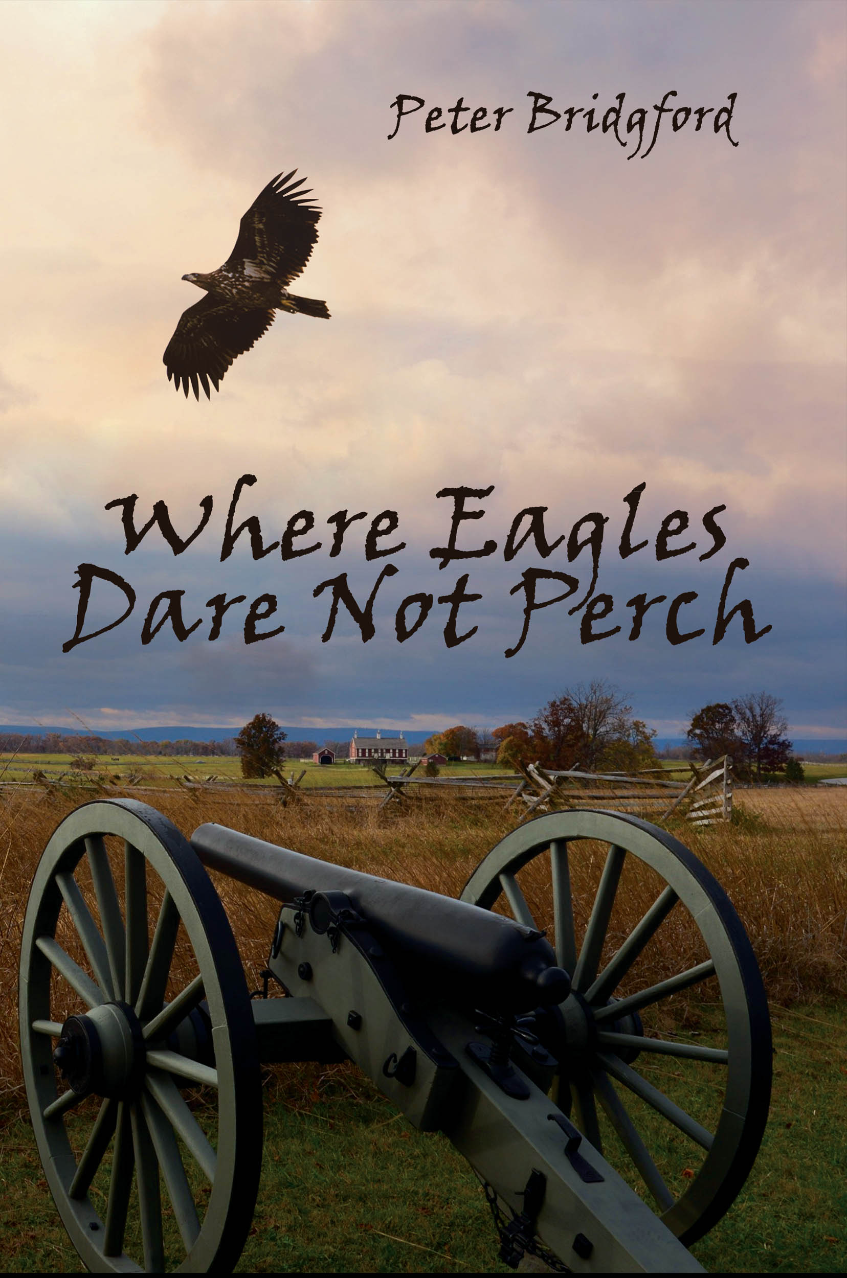 A Farm Boy Is Turned into a Murderous Sharpshooter in Where Eagles Dare Not Perch