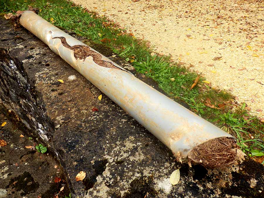 Lucas Plumbing and Gas Solutions leading the way with Adelaide blocked drains