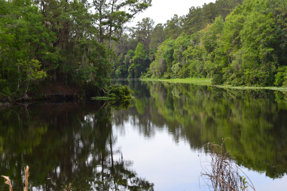 Recent Land Auctions Produce Over $2.2 Million in Sales Through Saunders Auctions