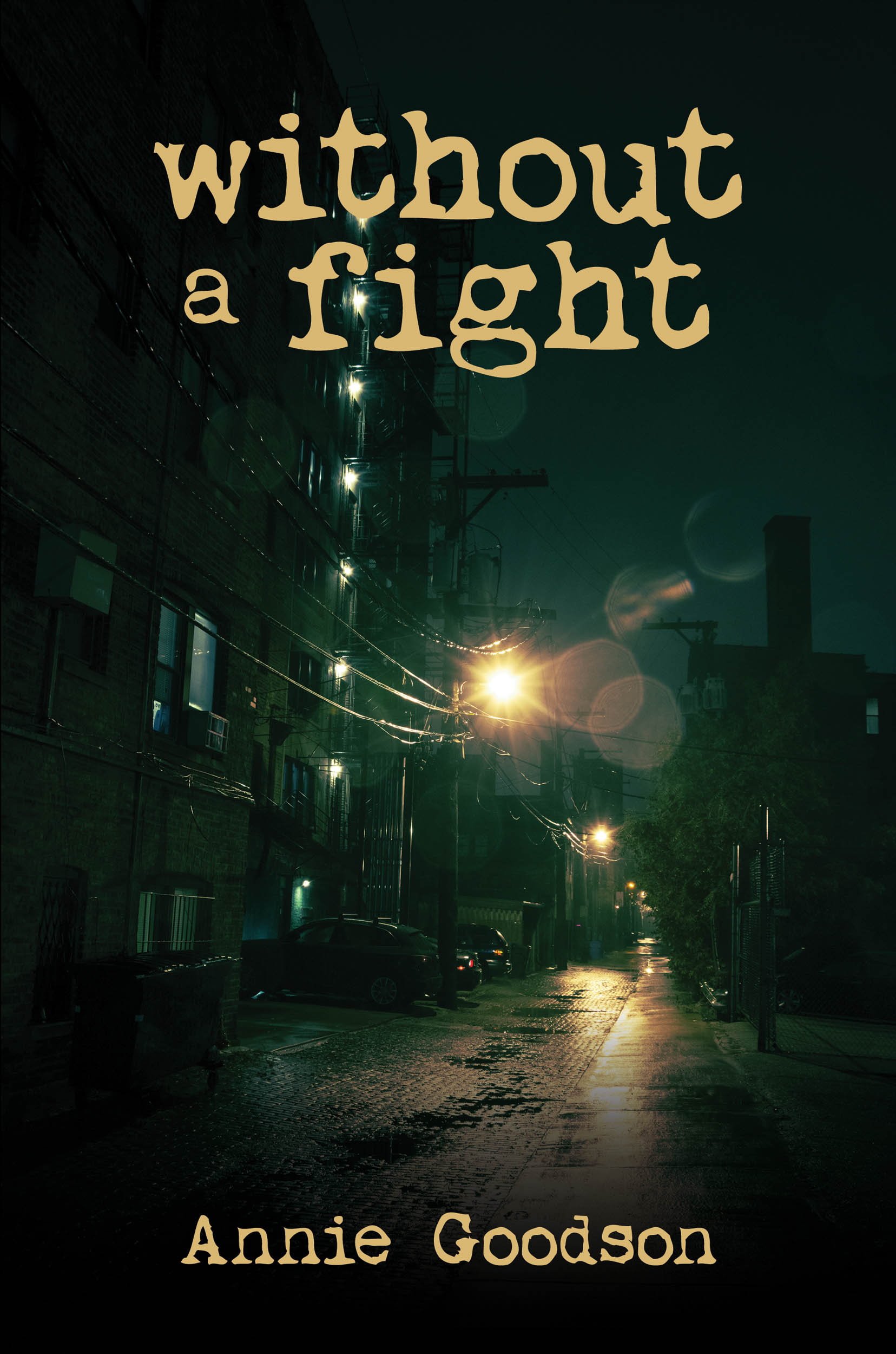 Kansas City Comedienne, Writer, Teacher, And Coach Publishes First Novel, “Without A Fight”