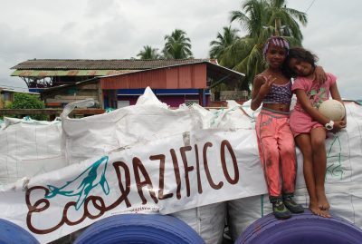 Fine Art Shippers to Join Ecopazifico Environmental Education Project