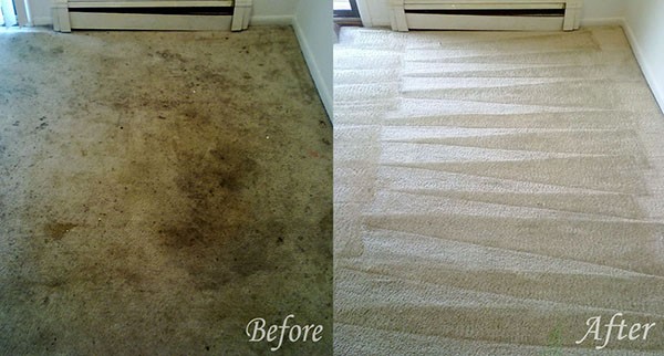 Honor Carpet Cleaning Annouces Holiday Deal On Carpet Cleaning in Jupiter, FL