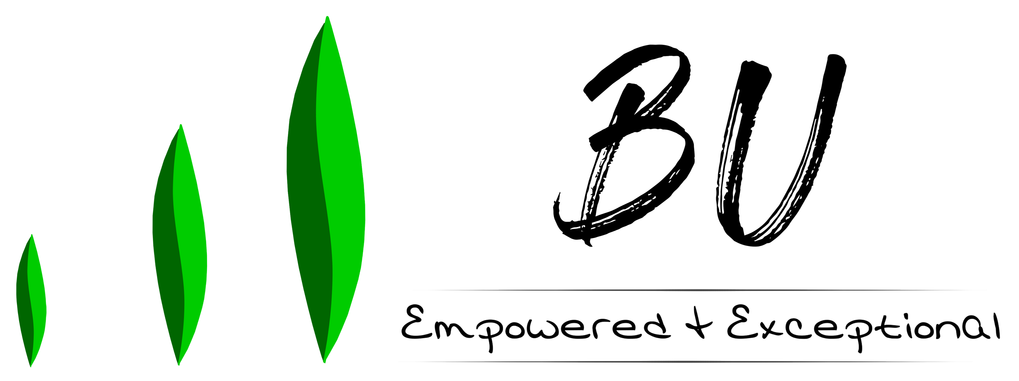 BU Coaching logo