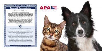 The American Pet Association Launches Emotional Support Animal Letter Service for The Mentally ill