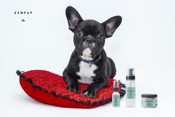 CBD Oils For Pain Relief In Dogs - ZenPup CBD Helps Treat Dogs With Pain &amp; Anxiety Through Their Natural CBD Oils, CBD Treats and CBD Dry Shampoo