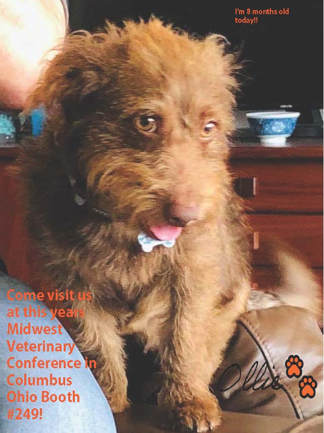 Midwest Veterinary Conference (Source: GerVetUSA)