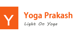 Rishikesh Yoga Prakash logo