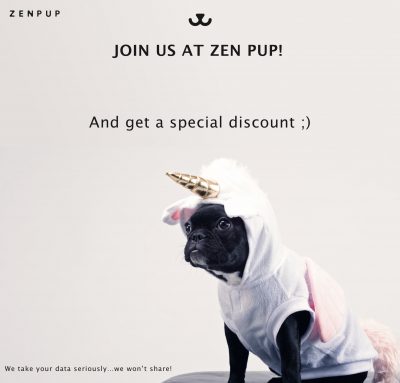 CBD Oils For Dogs? - How Zenpup CBD For Dogs Is Using Organic Dog CBD Oils to Improve Your Dog's Quality Of Life