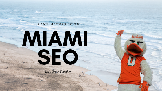 Egochi A Renowned Internet Marketing Agency Starts Its New Division in Miami, FL