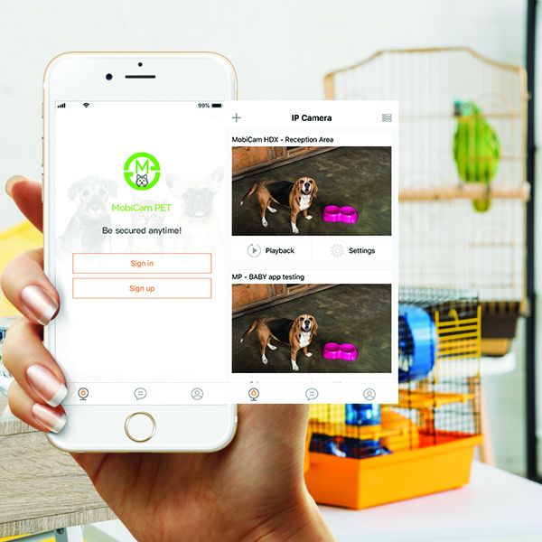 Pet Monitoring System Means You Can Watch And Talk Back From Anywhere