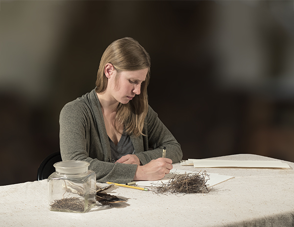 IntoBirds Profiles Artist Sketching Love Letter to Nature