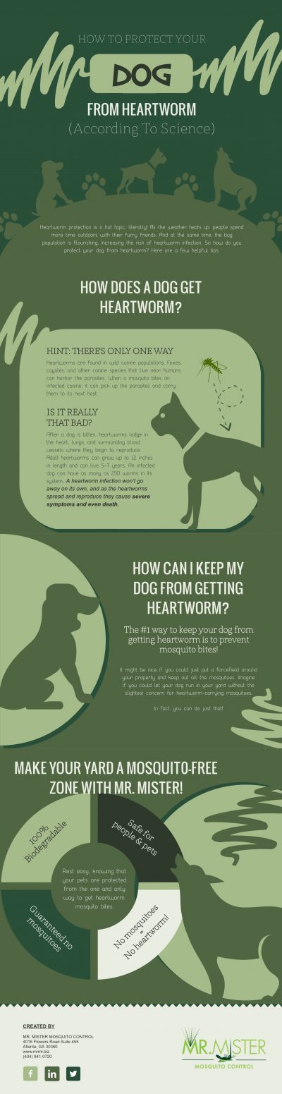Mr. Mister Mosquito Control Educates Atlanta Pet Owners On The Prevention of Heartworm Disease