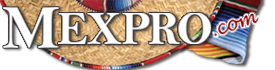 Mexpro – Mexico Insurance Professionals logo