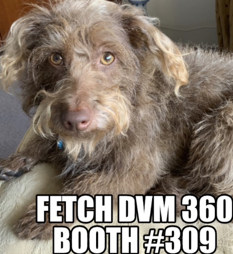 GerVetUSA will be exhibiting at FETCH DVM 360 At The Kansas City Convention Center