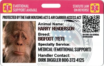 Emotional Support Animal Business Owner, Chaz Stevens, Supports Illinois' Assistance Animal Integrity Act