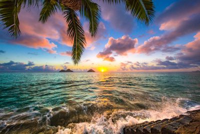 GreatHawaiiStays.com - Vacation Rental Travel to Hawaii, No Traveler Fees and The Best Price Guaranteed