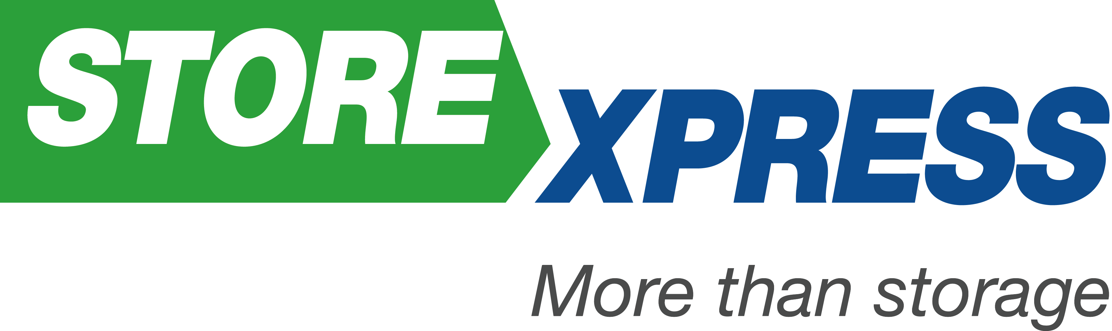 STORExpress Self Storage logo