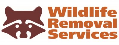 Local Wildlife Removal provided by Wildlife Removal Services of Florida