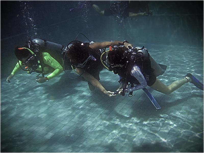 PADI IDC Gili Islands Announces A Great Year With Over 460 PADI Instructor Certifications in 2019
