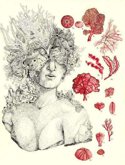 Bow Seat Announces Student Winners of International Climate Change Art Contest